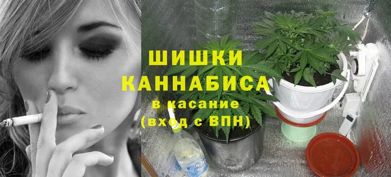 OMG сайт  Вытегра  Бошки Шишки сатива  продажа наркотиков 